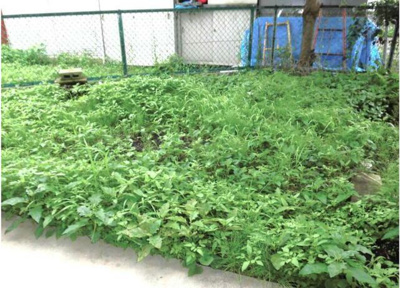 【庭】 | 第二平荘