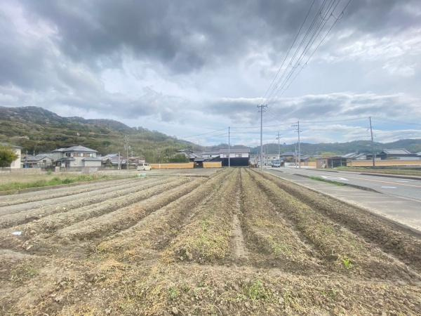 和歌山市禰宜　土地のその他