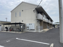 サニースワンの画像