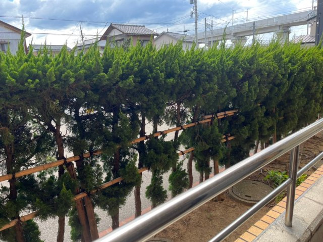 アペックス開発の展望|目隠しの植栽