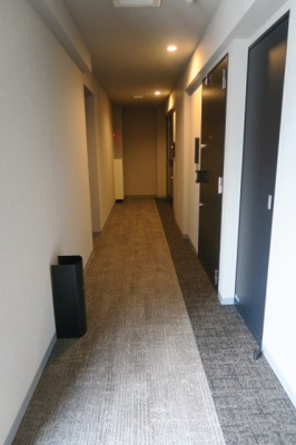 【その他共用部分】 | ルフォンプログレ上野マークス | ラグジュアリーな内廊下。
高級賃貸マンション。
上野の賃貸物件。
「ルフォンプログレ上野マークス」のことなら(株)メイワ・エステートへ