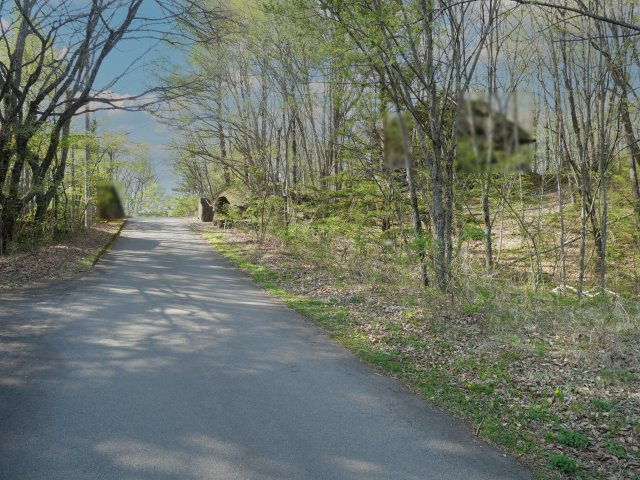 別荘の街・プリンスランド①の前面道路含む現地写真