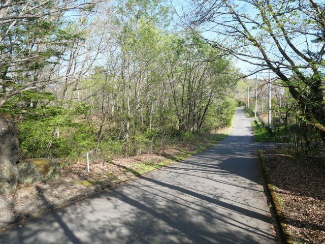 別荘の街・プリンスランド①の前面道路含む現地写真