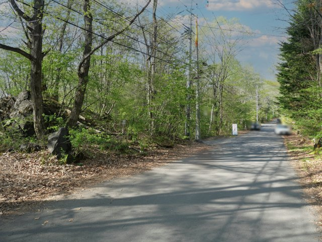 別荘の街・プリンスランド②の前面道路含む現地写真