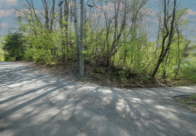 別荘の街・プリンスランド②の前面道路含む現地写真