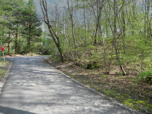 別荘の街・プリンスランド②の前面道路含む現地写真