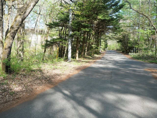 別荘の街・プリンスランド④の前面道路含む現地写真