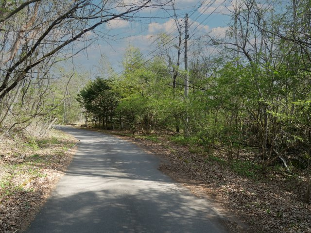 別荘の街・プリンスランド⑤の前面道路含む現地写真