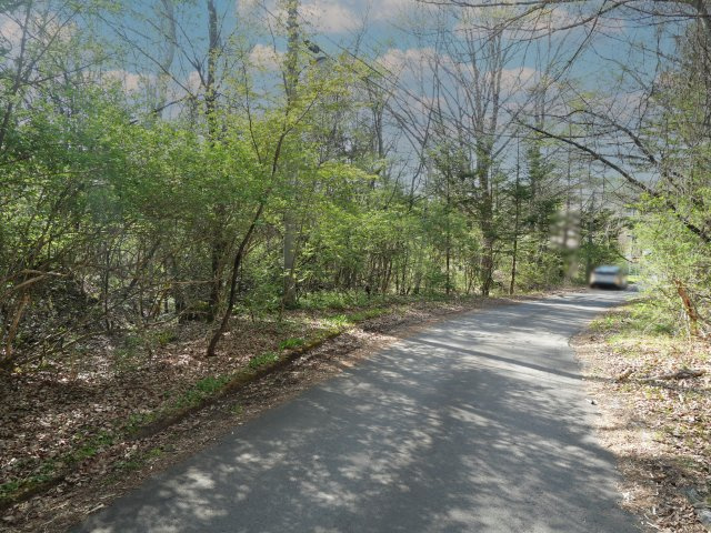 別荘の街・プリンスランド⑤の前面道路含む現地写真