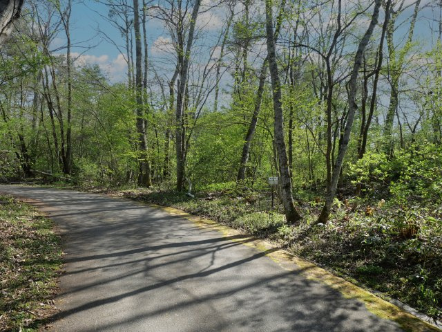 別荘の街・プリンスランド⑦