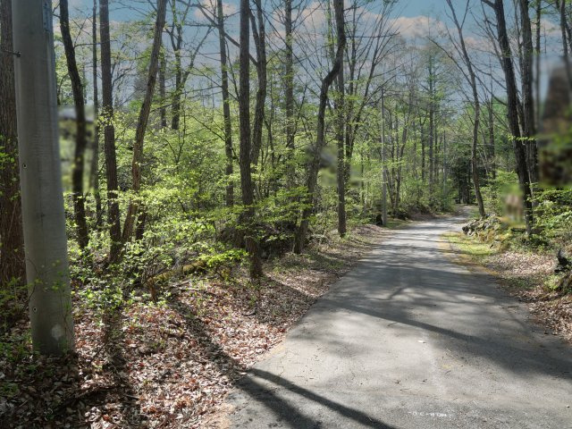 別荘の街・プリンスランド⑨