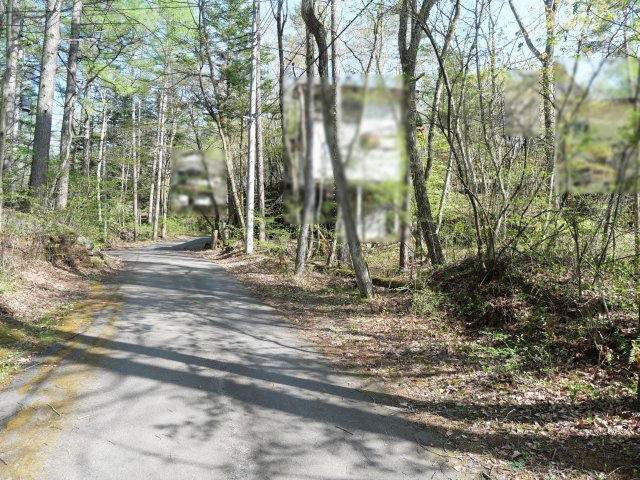 別荘の街・プリンスランド⑨の前面道路含む現地写真
