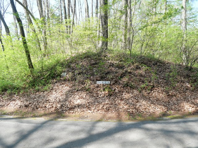 別荘の街・プリンスランド⑩