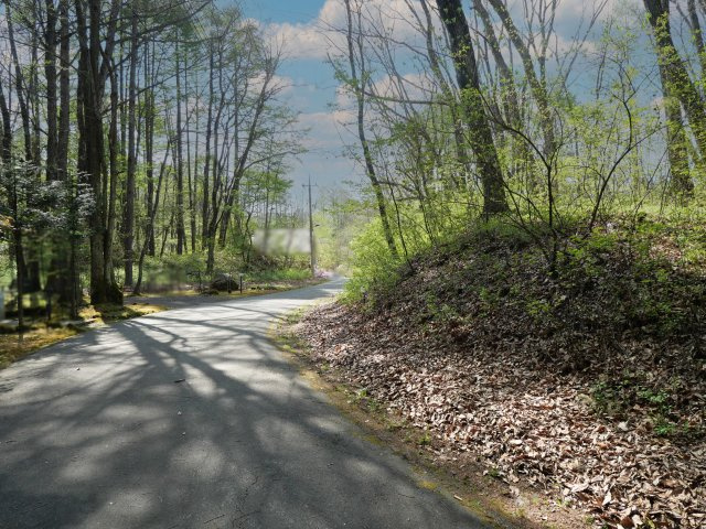 別荘の街・プリンスランド⑩の前面道路含む現地写真