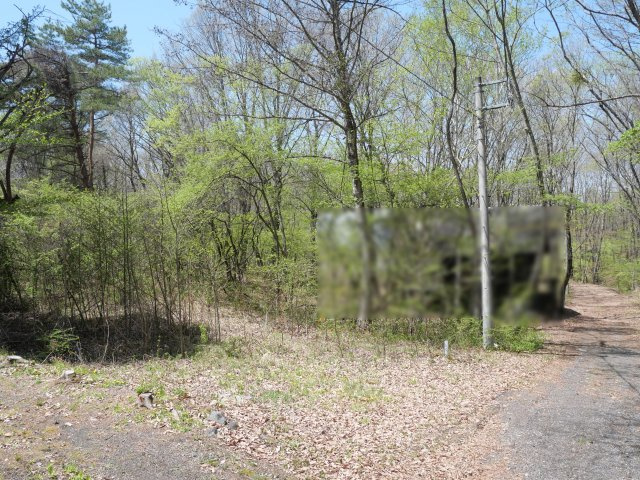 奥軽井沢郷①の前面道路含む現地写真