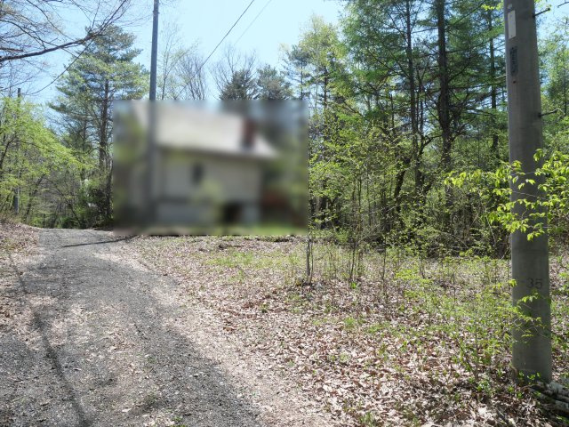 奥軽井沢郷①の前面道路含む現地写真