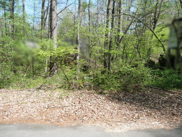 別荘の街・プリンスランド⑪