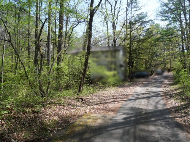 別荘の街・プリンスランド⑪の前面道路含む現地写真