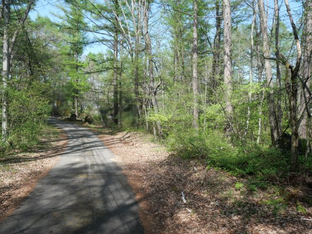 別荘の街・プリンスランド⑪の前面道路含む現地写真