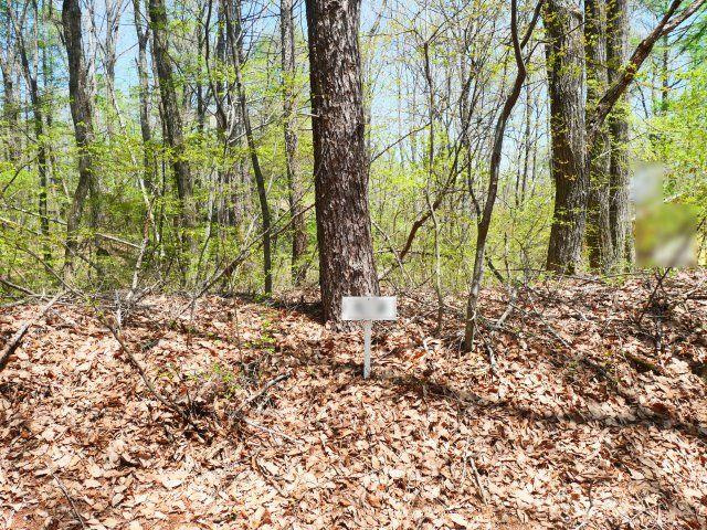 奥軽井沢郷③の外観