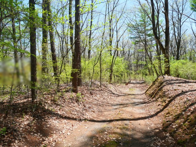 奥軽井沢郷③の前面道路含む現地写真