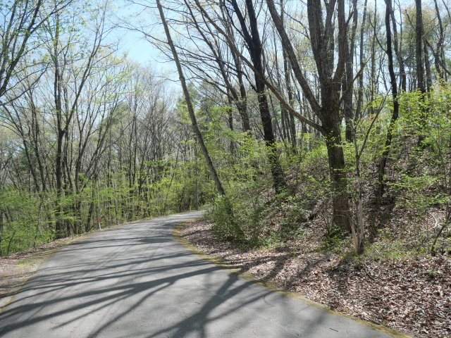 エンゼルフォレスト浅間ハイランド①の前面道路含む現地写真