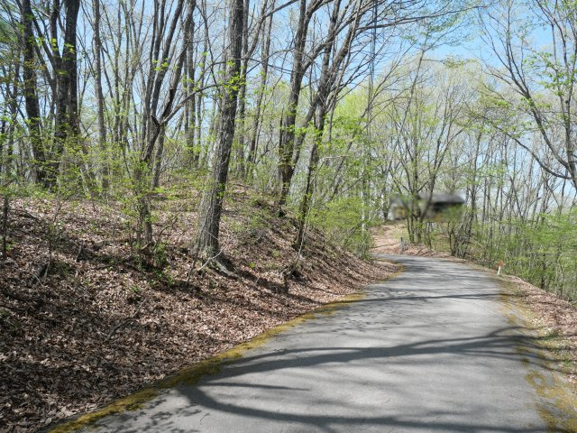 エンゼルフォレスト浅間ハイランド①の前面道路含む現地写真