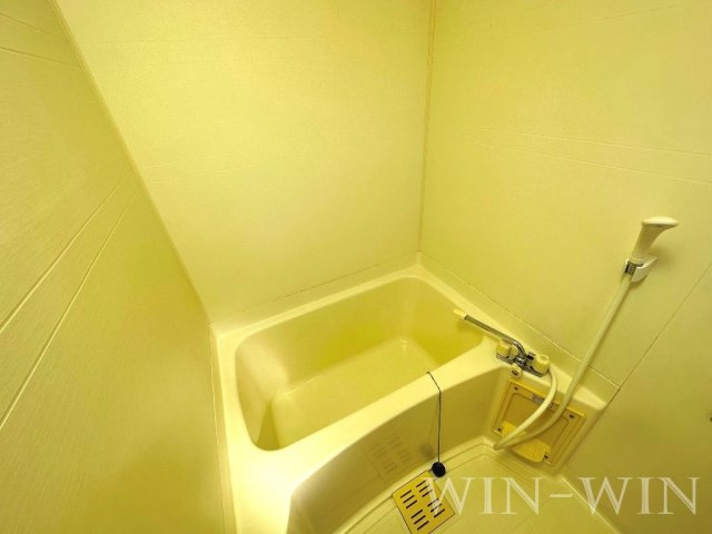 エスポワールフジ Dの浴室