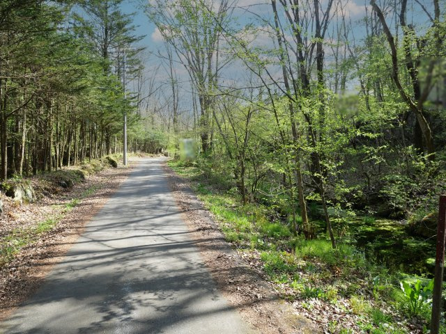 別荘の街・プリンスランド③の前面道路含む現地写真