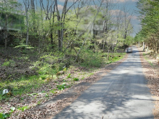 別荘の街・プリンスランド③の前面道路含む現地写真