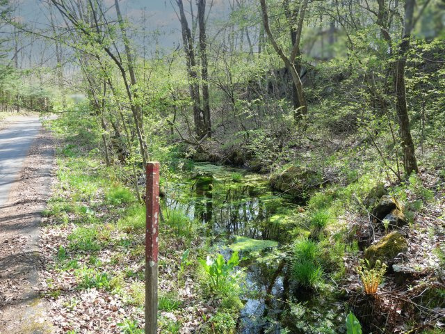 別荘の街・プリンスランド③の前面道路含む現地写真