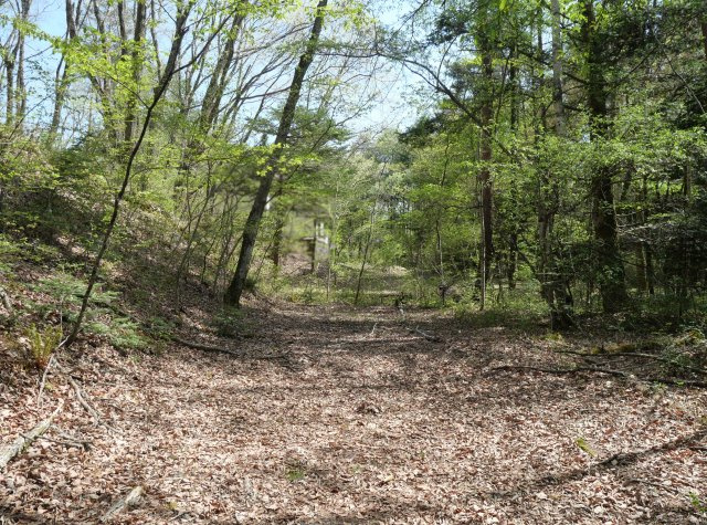 エンゼルフォレスト浅間ハイランド②