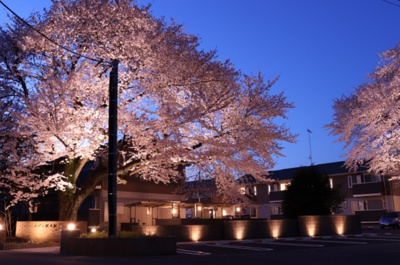 【周辺】 | メゾン医大前桜 Ｅ | 春・桜の季節の物件の夜景