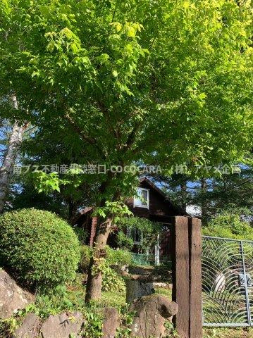 北杜市　ログハウス　中古の外観|自然を感じられる環境です♬