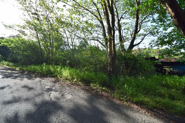 【外観】 | 伊東市宇佐美　売地