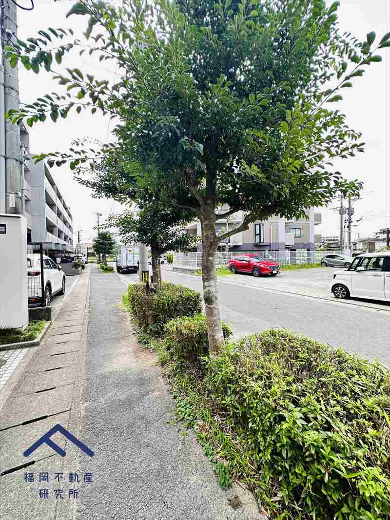 ルアンジュ都府楼の周辺