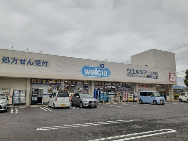 エルディム大竹Ⅰの周辺|その他