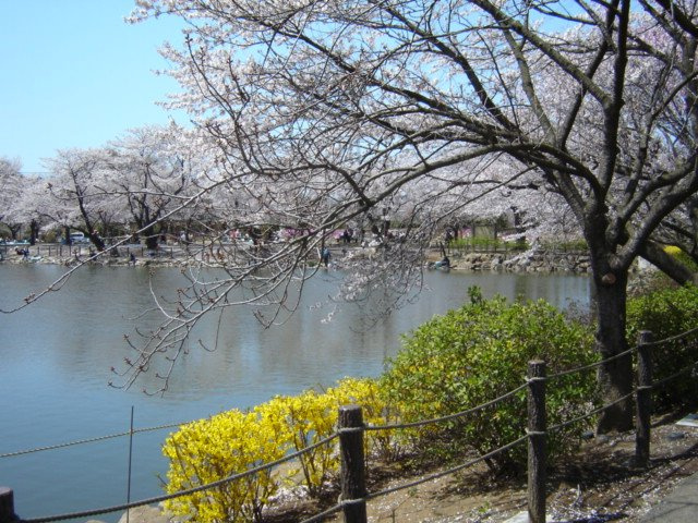 アルパインガーデンの周辺|鶴ヶ島市運動公園まで480ｍ