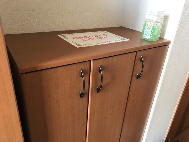 アルパインガーデンの玄関|シューズボックス