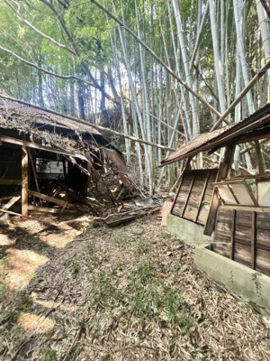 【その他】 | 菊川市中内田　売土地（一部、農地転用必要） | 藪の中に以前の家屋が残っています。現況でのお渡しとなります。