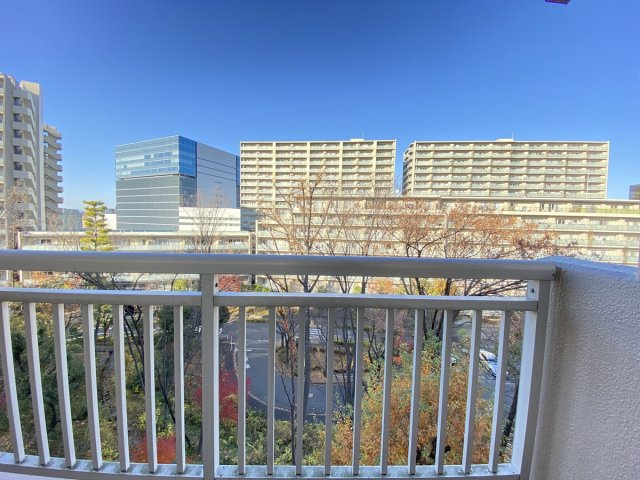 の-の画像