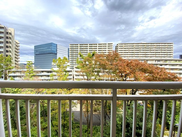の-の画像
