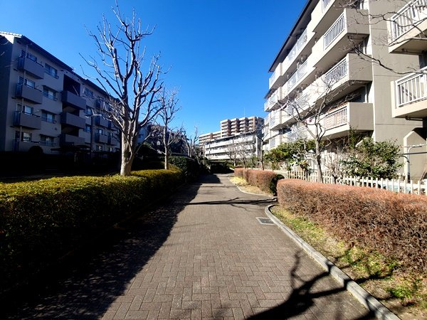 の-の画像