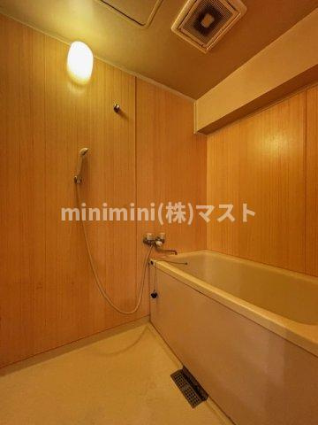 エクセルハイム川富の浴室