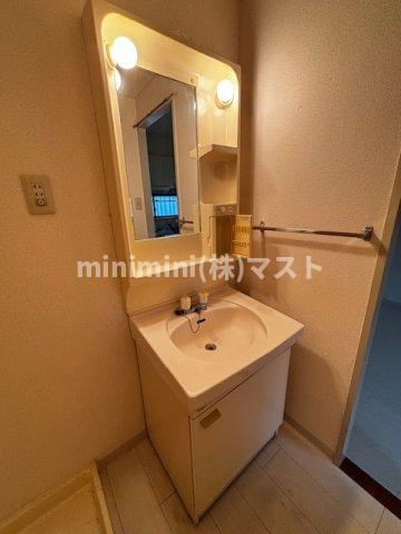 エクセルハイム川富の洗面所