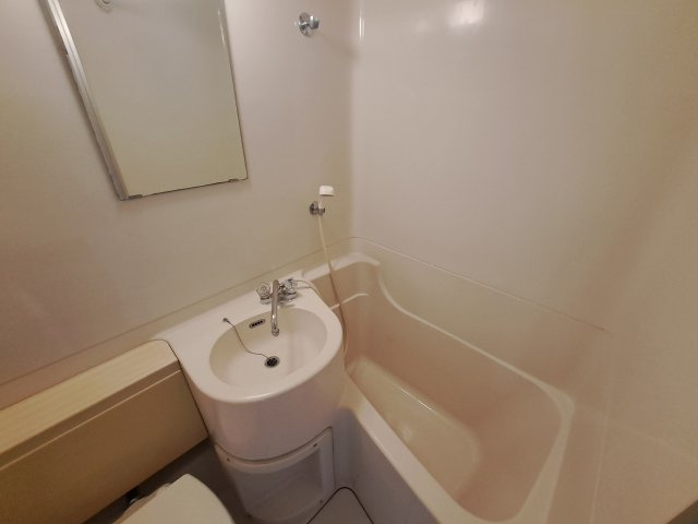 カーサフェリスⅡの浴室