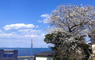 【展望】 | 建物２階から、相模湾、遠くに三浦半島を望めます。