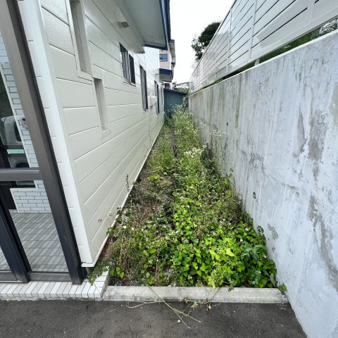 室蘭市白鳥台2丁目19-11戸建の庭
