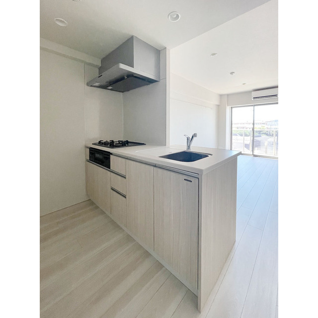 グランカーサ溝の口のキッチン