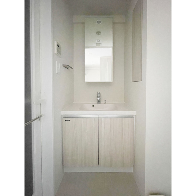 グランカーサ溝の口の独立洗面台